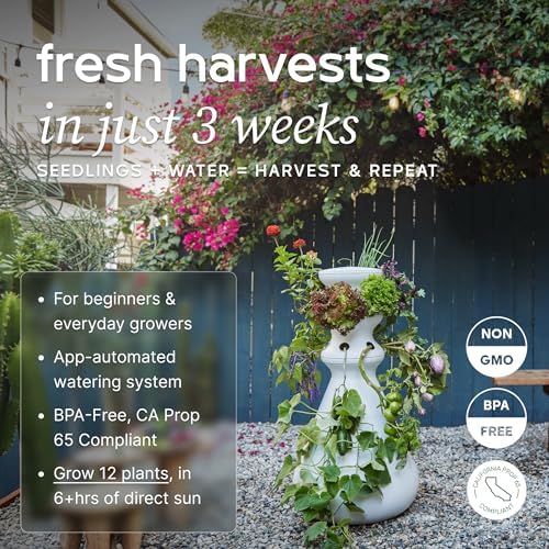 Lettuce Grow Farmstand Outdoor Starter Kit | 12 Seedlings | 3ft 8in | USA - Image 2