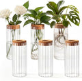 6 Set Propagation Station Jar Desktop Glass Planter Station Flower Vases Water Terrarium Jar with Cork Lid for Propagating Flower Plants Centerpiece Office Home Garden Decor(Medium) by Ferrochef