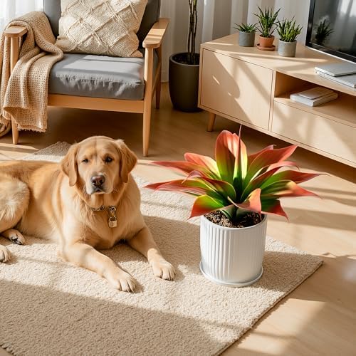 Ttranewsoo 2-Pack 13.8-Inch Red Artificial Agave Plants, UV Resistant Fake Outdoor Succulents and Lifelike Faux Greenery for Planters, Porch, Patio, Garden, Entryway and Indoor Home Decor - Image 5
