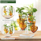 Plants Propagation Stations Plant Terrarium Kit Gift for Women - Image 3