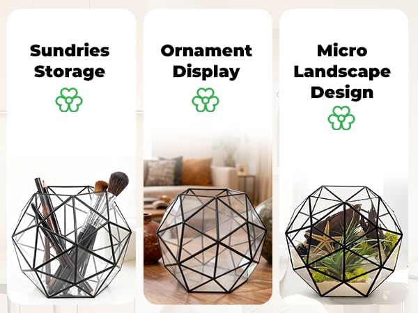 Glass Flower Pots Geometric Terrarium Planter Container Air Plant Display Air Plant Containers for Succulents Balcony Tabletop Miniature Fairy Garden Modern Decor Terrarium Large - Image 5