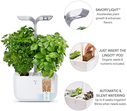 Smart Indoor Garden by Véritable® - Exky Smart Arctic White - 2 Lingots® Included - Image 4