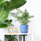 Gepege 8 Inch Ceramic Plant Pot with Drainage & Saucer - Image 4