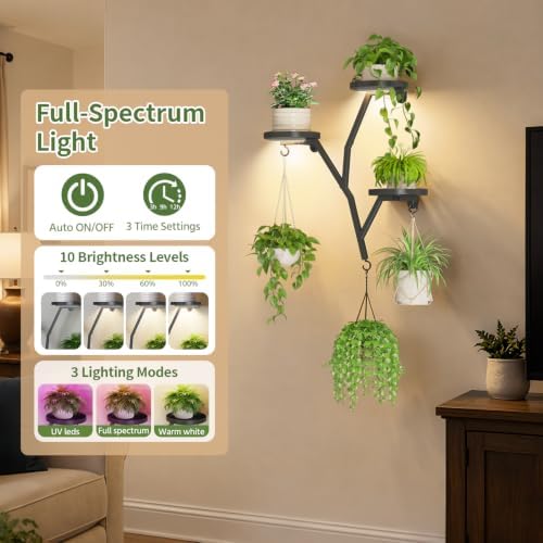 LASZOLA Plant Hanger Holder Wall Mounted Floating Shelf Indoor, Metal Black - Image 3
