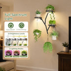 LASZOLA Plant Hanger Holder Wall Mounted Floating Shelf Indoor, Metal Black - Image 3