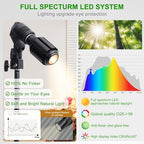 10W Spot Lights Indoor, 22-63.5” Adjustable Tripod & E26 Replaceable 15° to 60° Zoomable Plant Grow Light Bulb, Dimmable 6000K Up Light with Remote, Aluminum Floor Spotlight Indoor, Black - Image 4