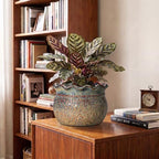 Ceramic Pots for Plants, 8 Inch Plant Pot, Yellowish Brown - Image 4