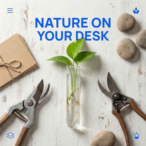 5pcs Clear Plant Propagation Tubes: 6x2 Hydroponic Glass Plant Starter Test Tube with Round Bottom, SoilFree Planter with Rim for Water Cultivating Flowers - Image 3