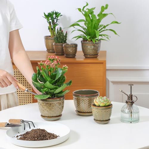 Sureasy Ceramic Plant Pots, 4.7 Inch Flower Pots for Indoor Plants, Succulent Pots with Saucer and Drainage Hole, Decorative Planter for Succulent, Cactus, Set of 4, Green - Image 5