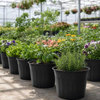 60 Pack 12.8 Inch 5 Gallon Large Plastic Plant Nursery Pots - Image 3