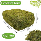 Riare 2.6LB Natural Moss Artificial Fake Moss Alternative for Plants Indoor - Image 2