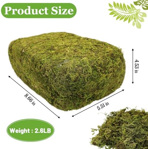 Riare 2.6LB Natural Moss Artificial Fake Moss Alternative for Plants Indoor - Image 2