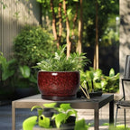 SQOWL Ceramic Flower Pots - 10 Inch Plant Pot Indoor, Ceramic Planter with Drainage Hole and Saucer, Round Decorative Large Planter Outdoor, Home Decor Living Room, Gifts for Plant Lovers, Red - Image 5