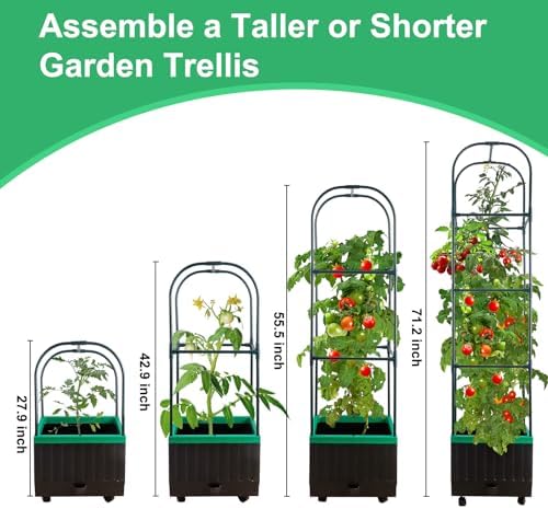 Yhtpouqe Raised Garden Bed Planter Box with Trellis, 71.2" Self-Watering Tomato Planters for Climbing Plants Vegetable Vine Flowers, Lockable Wheels, Vertical Gardening, Indoor Outdoor Patio Use - Image 2