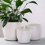Ceramic Succulent Pots Indoor Outdoor Flower Pot with Bamboo Tray Planter Pot Plant Container Flowers Pots with Drainage for All House Plants,Matte Blue-XL,Matte Blue M - Image 7