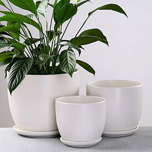Ceramic Succulent Pots Indoor Outdoor Flower Pot with Bamboo Tray Planter Pot Plant Container Flowers Pots with Drainage for All House Plants,Matte Blue-XL,Matte Blue XL - Image 4