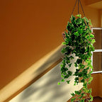 Hanging Planters Basket Outdoor Indoor(14 inch 4 Pack)-Coconut Coir Hanging Baskets for Plants Outdoor,Metal Wire Baskets with Coco Liner Window Box Planters, Hanging Flower Pots for Railings - Image 7