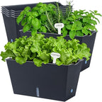 Window Box Planter 6 Pcs, 12.1 Inches Self Watering Plant Pots Rectangle Flower Pots with Drainage Holes and Breathable Trays, Vegetable Planters for Windowsill Patio Garden Balcony Porch Yard (Black) - Image 4