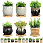 Remerry 12 Pcs Ceramic Succulent Pots with Drainage 3.5 Inch Bamboo Tray - Image 2
