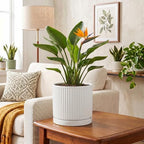 8 Inch Pots for Plants, Ceramic Plant Pots with Saucer, White - Image 6