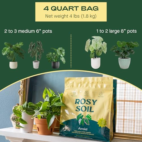 Rosy Soil Indoor Potting Soil Bundle, Organic Houseplant, Aroid and Cactus Potting Mix Set, Peat-Free Biochar Formula, 4 Qt Each - Image 7