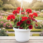 Hanging Flower Pots, 9 inch, White Granite, Case of 5 - Image 3