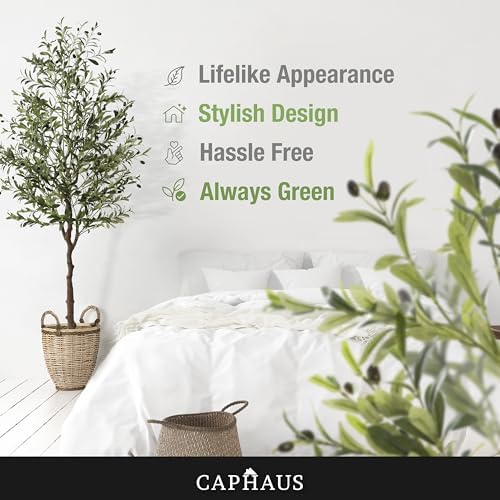 CAPHAUS 6FT Artificial Olive Tree Potted, UV Resistant Indoor Faux Plant - Realistic for Living Room, Office Decor, Housewarming Gift (72 Inch) - Image 6