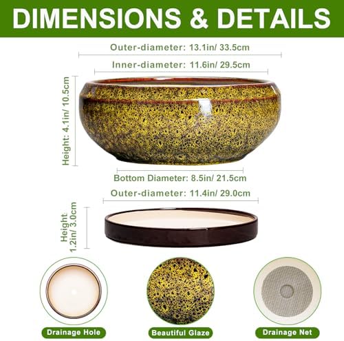 Succulent Pots Large - 13 Inch Ceramic Bonsai Pot with Drainage Hole and Tray, Round Succulent Planters, Shallow Plant Pots Indoor, Bowl Planter Outdoor, Garden Decor, Gardening Gift, Yellow - Image 2