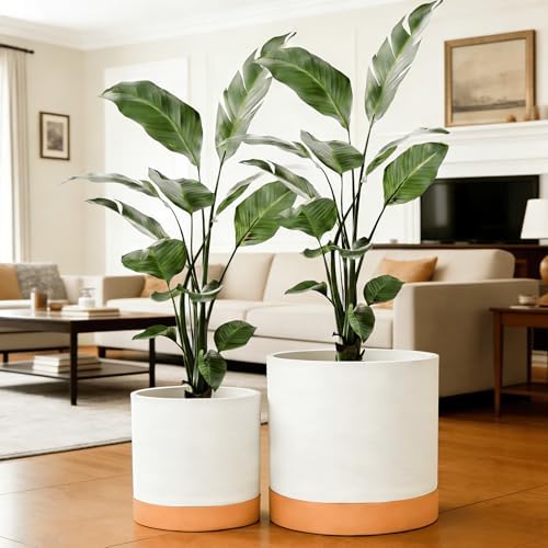 GreenShip 2pcs Plant pots, self Watering pots for Indoor Plants (White+Terracotta, 15.7in+13.7in) by GreenShipHandmadePots