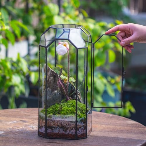 NCYP Glass Geometric Octagon Plant Terrarium with Door 5.5"x5.5"x12.8" - Image 4