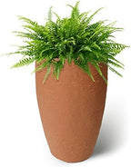 Algreen Products Athena Self-Watering Planter, Medium, 15" DIA x 24.5" H, Terra Cotta - Image 2
