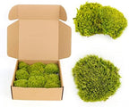 1.5 Sq. Ft. Preserved Moss Pole Decorative Moss for Crafts, Art, Wall Decor,Yellow Green Moss - Image 2
