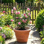 BreezeHug 2 Set Garden Obelisk Trellis Peony Cages and Supports, Crown - Image 6