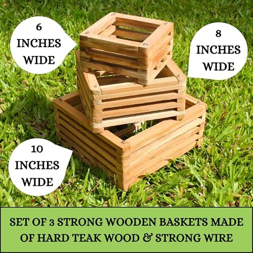 Set of 3 Strong Teak Wood Orchid Baskets for Outdoors with Hangers, 1 is 10 Inches Wide, 1 is 8 Inches, 1 is 6 Inches, for Orchids, Staghorn Ferns, Orchid Gifts - Image 2