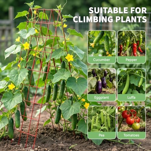 DoCred 59" H Cucumber Trellis, 2 Pack Foldable A Frame Garden Trellis - Image 3