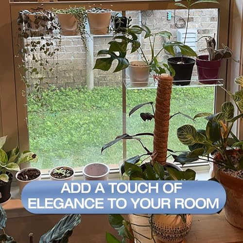 2-Pack 15 Inch Acrylic Window Boxes Plant Shelves, with Suction Cup Window Sill Extender, for Indoor/Outdoor Succulents, Micro Greens, Seed Starter Pots, Herb Planters - Image 5