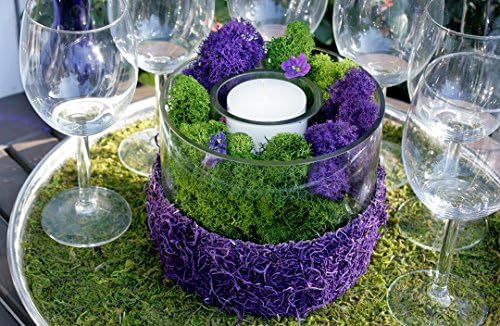 Super Moss (25145) Reindeer Moss Preserved, Purple, 3lbs - Image 2