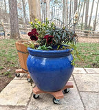 Bosmere 20" Plant Caddie - Heavy-Duty Rolling Plant Stand with Locking Wheels, 500 lb Capacity – Durable Plant Caddy for Indoor/Outdoor Use, Adobe - Image 3