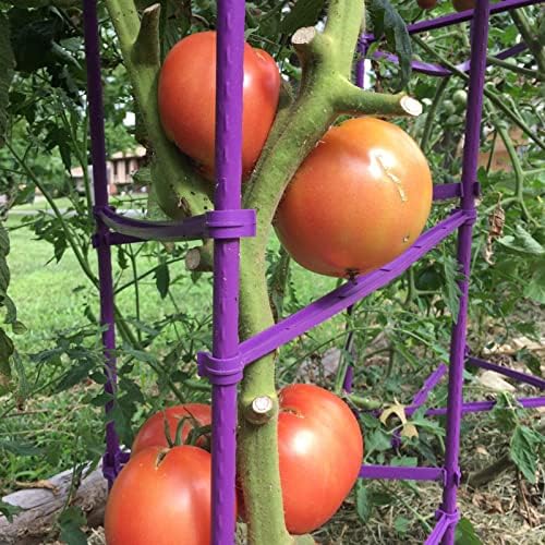 Tomato Cage 5ft 6-Pack Large Tall Tomato Cages Tomato Stakes Plants Supports Garden Stakes,40 Clips and Plant Ties Include, Green - Image 3