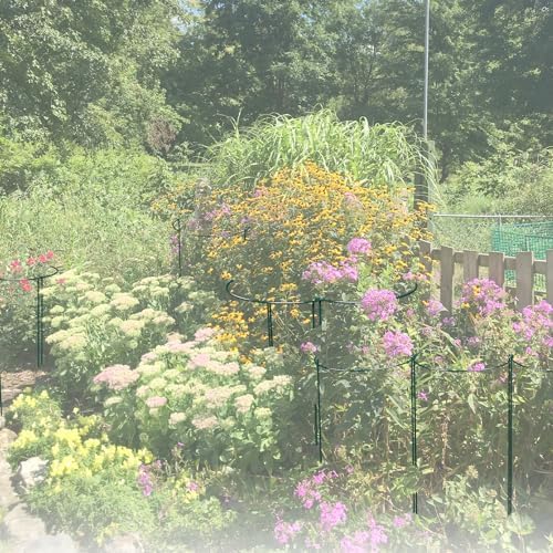 6 Pack 30 inch Plant Support Stakes, Heavy-Duty Half Round Peony Support, Garden Plant Stakes Cage for Outdoor Plants, Peony, Tomato, Hydrangea, (15In Support +15In Stainless Extension Tubes) - Image 7