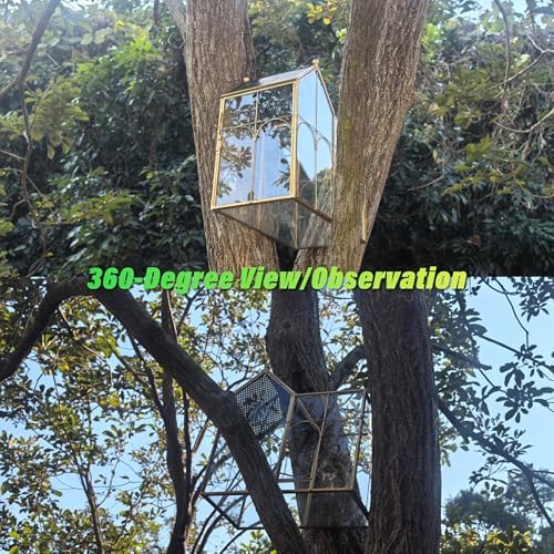 Ready-to-Use Glass Terrarium with Vents - 8.66"x4.72"x8.46" House-Shaped Jumping Spider Enclosure, Habitat for Praying Mantis, Snails, Insect or Succulent Plants - Home Garden Tabletop Decor - Image 7