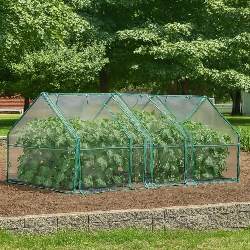 Miracle-Gro Greenhouse, Quick Snap Assembly, Clear, 3'x8'x3' - Image 2
