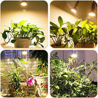 MILYN 4 Pack LED Grow Light Bulb, 30W Full Spectrum Plant Light Bulb Warm LED Grow Lights for Indoor Plants Vegetables, Flowers, Houseplants and Seedlings, E26 Lamp for Greenhouse, Garden, Hydroponic - Image 6