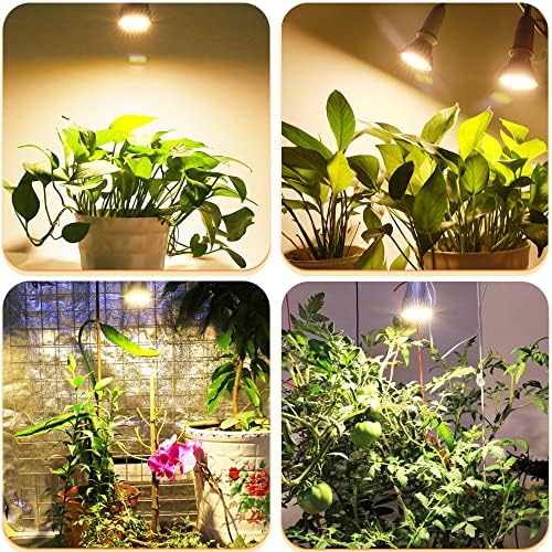 MILYN 4 Pack LED Grow Light Bulb, 30W Full Spectrum Plant Light Bulb Warm LED Grow Lights for Indoor Plants Vegetables, Flowers, Houseplants and Seedlings, E26 Lamp for Greenhouse, Garden, Hydroponic - Image 6