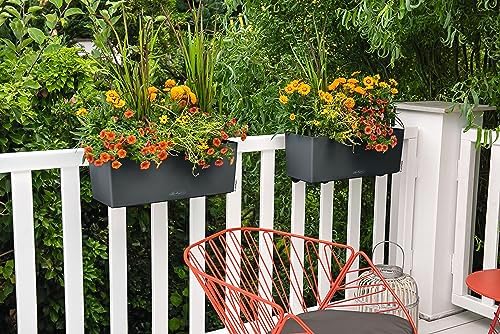 Lechuza BALCONERA Color 50 Slate, Self-Watering Window Box (Railing Planter), H7.5 L19.7 W7.5 in - Image 6