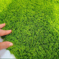 Fake Green Moss Crafts Ecorative Artificial Decorative Indoor by DTVEWProductGuide