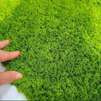 Fake Green Moss Crafts Ecorative Artificial Decorative Indoor by DTVEWProductGuide