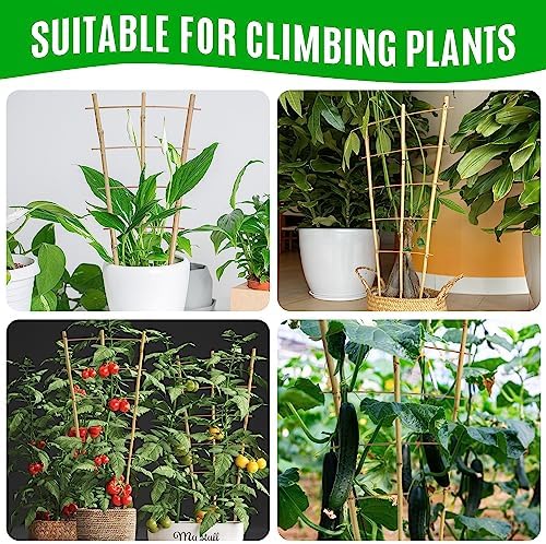 SWANGSA 6 Pack 3Ft Bamboo Trellis for Climbing Plants,35.5 Inch Fan-Shaped Bamboo Plant Trellis with 100pcs Twist Ties for Outdoor and Indoor Potted Plants Garden Stakes - Image 5
