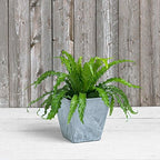 Novelty ArtStone 35100 Ella Square Planter, 10-Inch, Grey - Image 3
