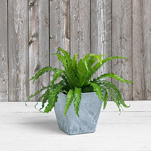 Novelty ArtStone 35100 Ella Square Planter, 10-Inch, Grey - Image 3